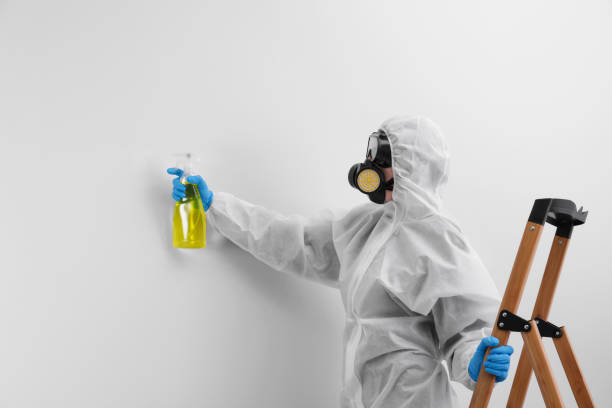 Reliable Ransom Canyon, TX Mold Removal Solutions